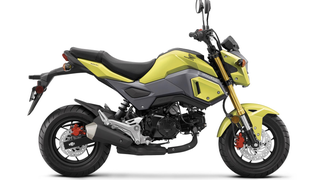 Everyone's Favorite Micro-Sized Motorcycle Will Look Different This Year